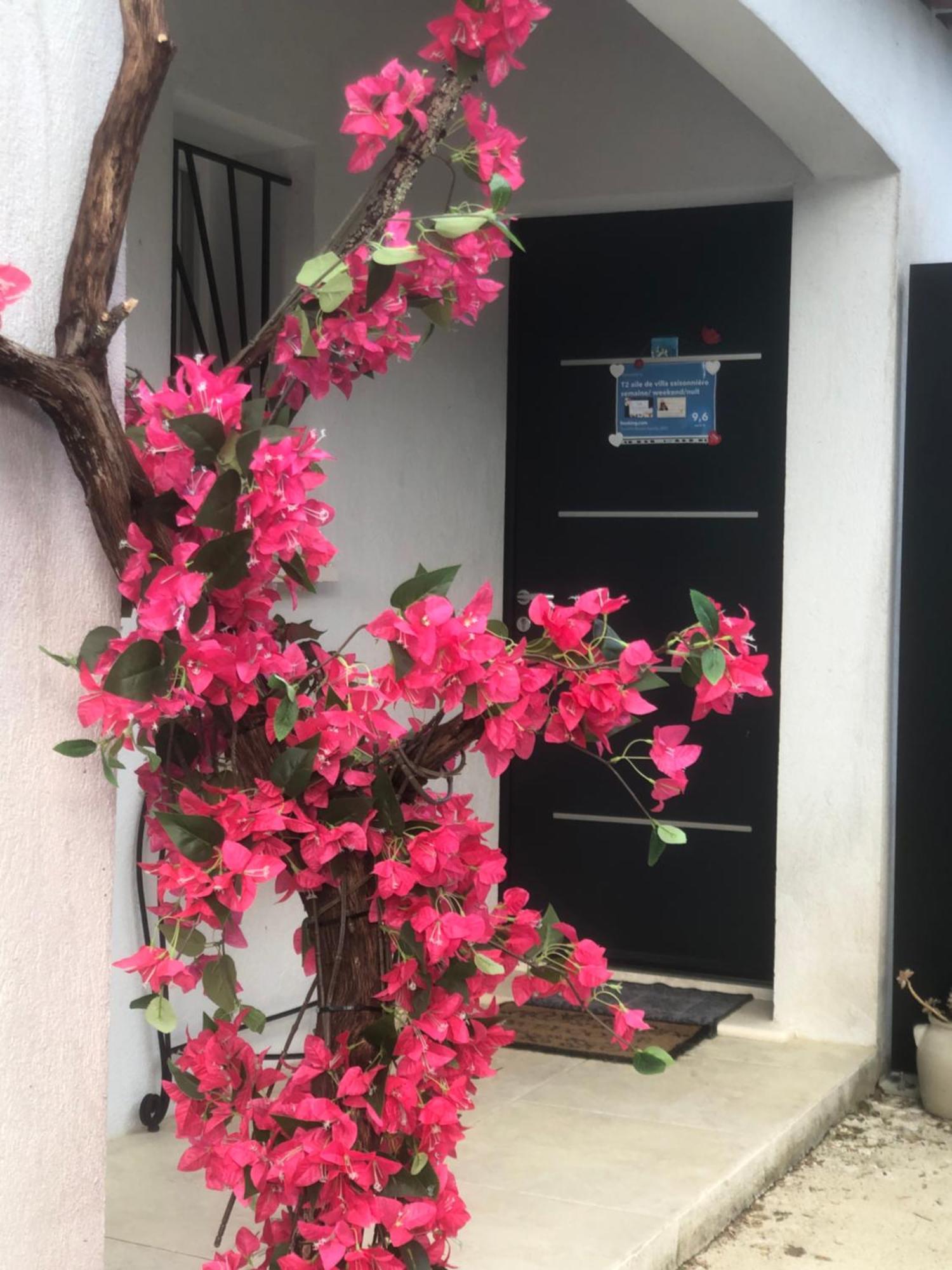 Camps-la-Source T2 Aile De Villa Et Spa-Jacuzzi Prive Et Illimite Et Plateau D'Acceuil Offert! מראה חיצוני תמונה